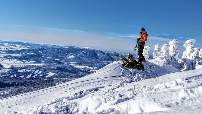 ZIMNÁ TURISTIKA NA BABEJ HORE