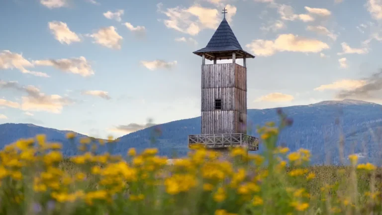 VYHLIADKOVÁ VEŽA