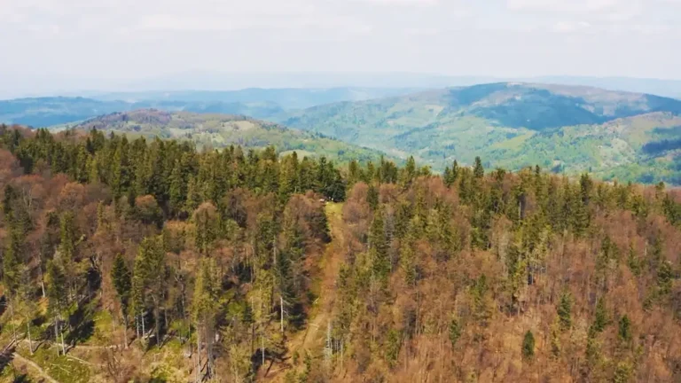 SLOVENSKÝ SEVERNÝ PÓL - MODRALOVÁ